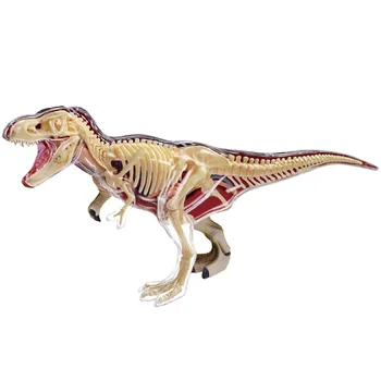 4D Vision T-Rex (Полный скелет) Анатомическая модель Динозавра Юрского периода Животные Модель Фигурки Украшение Моделирование Детский Подарок Игрушка