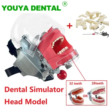 Зубная фантомная головка, модель ремня для стула, простой имитатор головы со сменными зубами для демонстрации практики обучения стоматолога