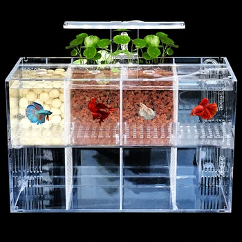 Креативный изолирующий ящик для разведения мелкой рыбешки, Акриловый настольный аквариум, аквариумный подарок со светодиодной подсветкой