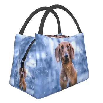 Милая Собака-такса, Изолированная сумка для ланча для женщин, Водонепроницаемая Колбаса, Сосиски, Барсук, Кулер для собак, Термобокс для Бенто, Рабочая коробка для пикника