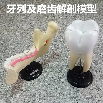 Стоматологические ламинаты и точильные камни используются для увеличения зубного аппарата.Бесплатная доставка
